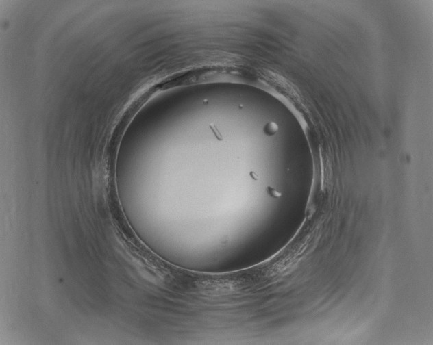 X0000072500435200607141133