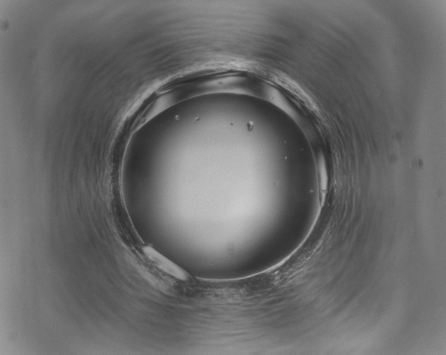 X0000072500436200607141133