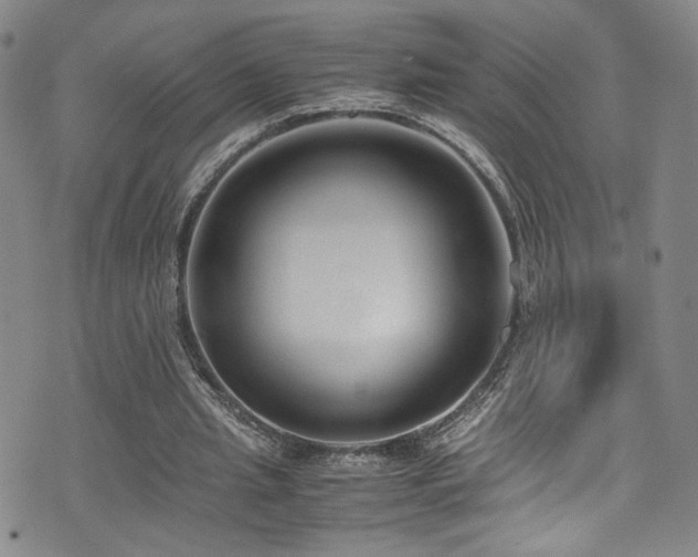 X0000072500437200607141133