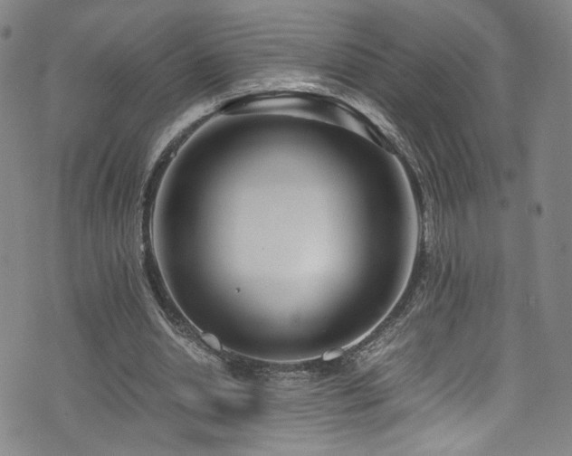 X0000072500438200607141133