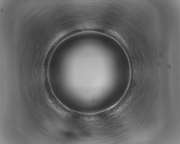 X0000072500439200607141133