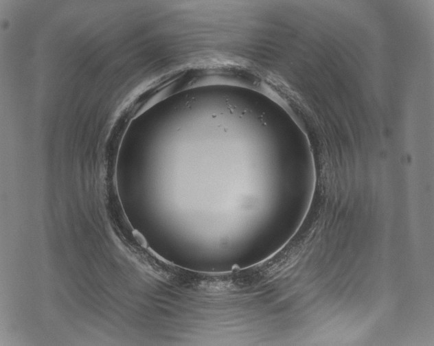 X0000072500440200607141133