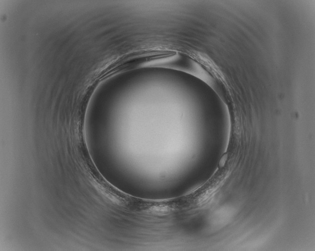 X0000072500441200607141133