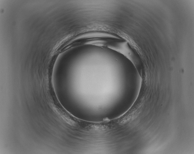 X0000072500442200607141133