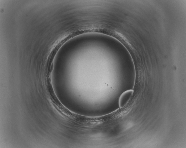 X0000072500443200607141133