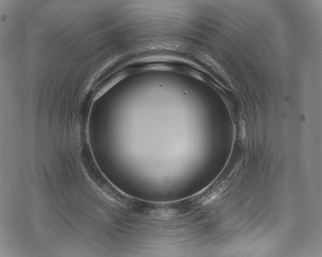 X0000072500444200607141133