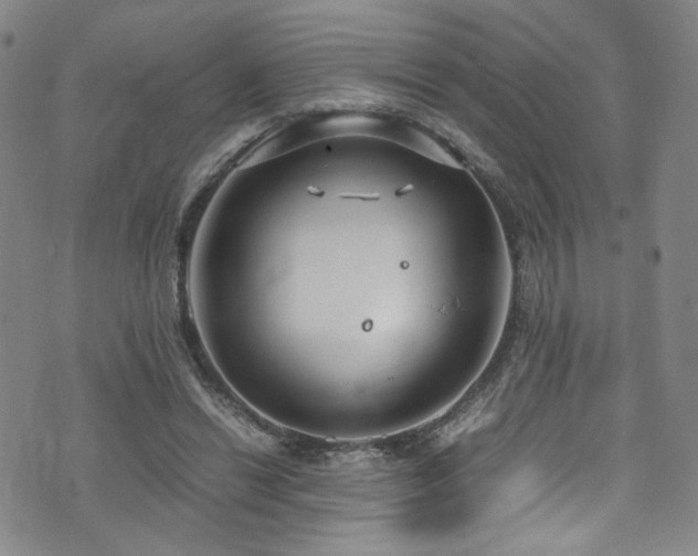 X0000072500446200607141133