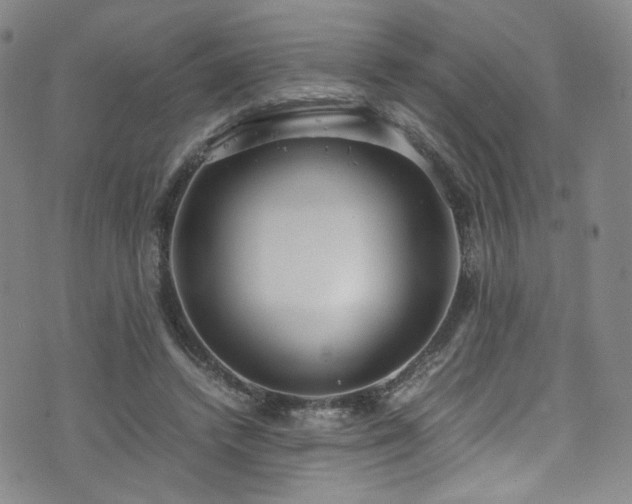 X0000072500448200607141133