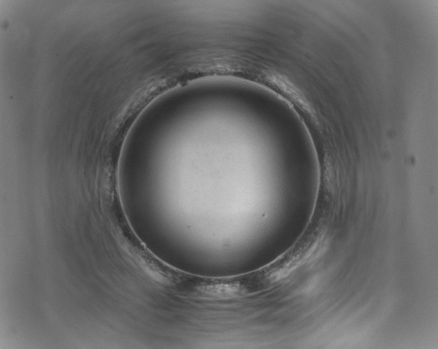 X0000072500449200607141133