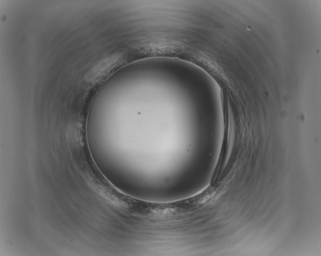 X0000072500450200607141134