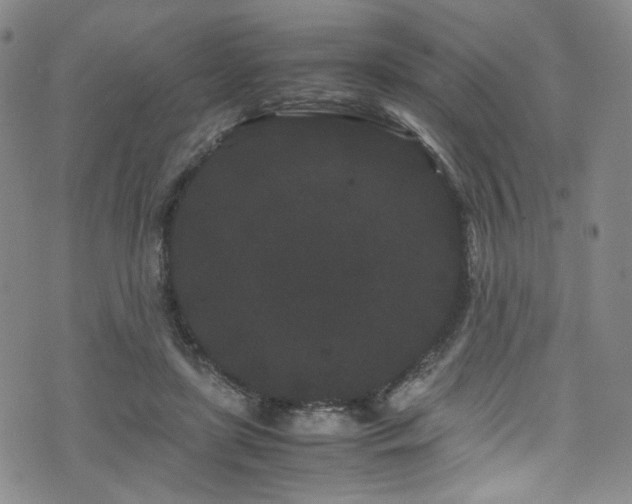 X0000072500451200607141134