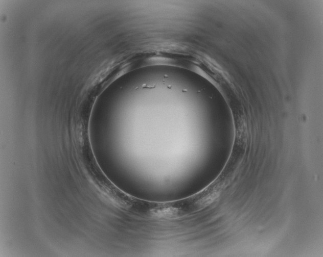 X0000072500452200607141134