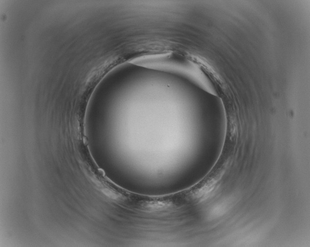 X0000072500453200607141134