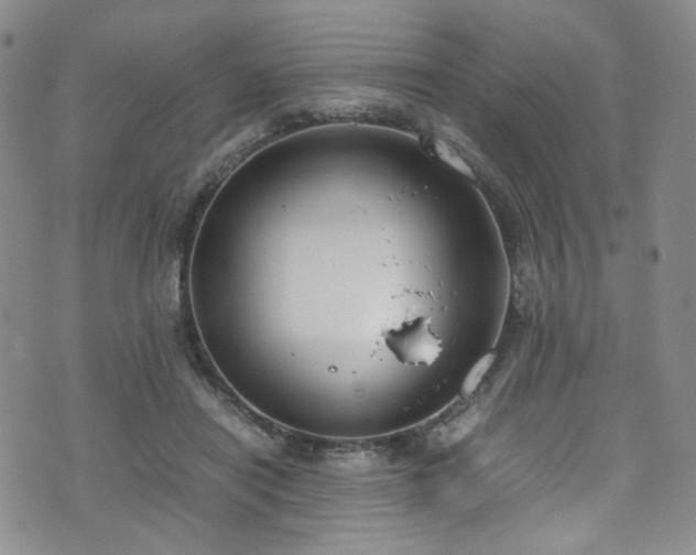 X0000072500454200607141134