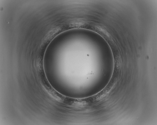 X0000072500455200607141134