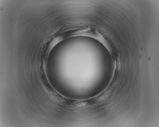 X0000072500456200607141134