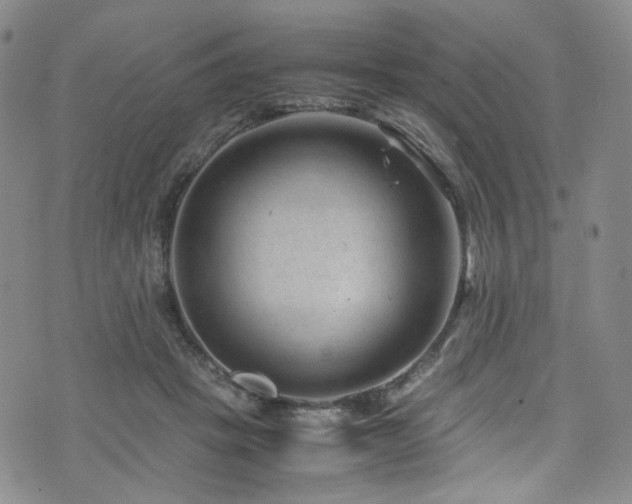 X0000072500457200607141134