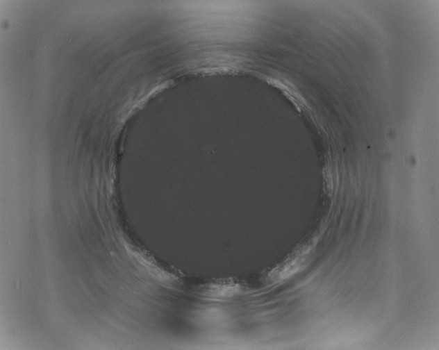 X0000072500458200607141134