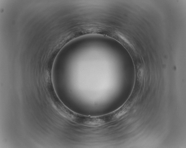 X0000072500459200607141134