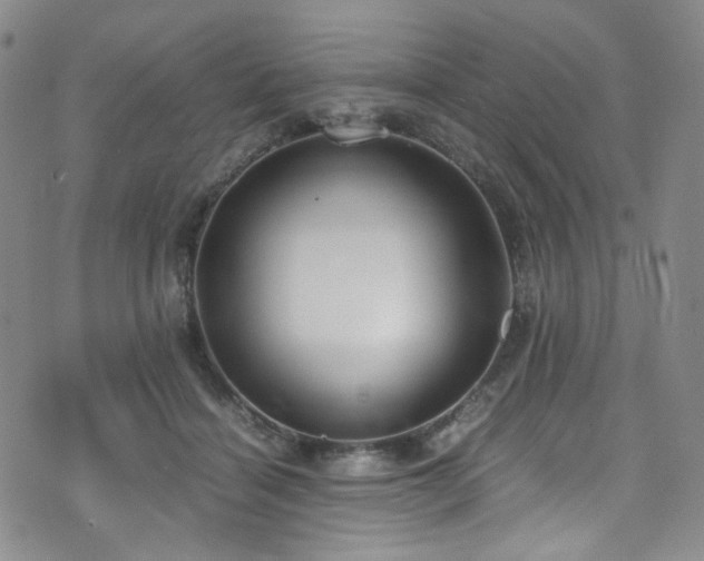 X0000072500460200607141134