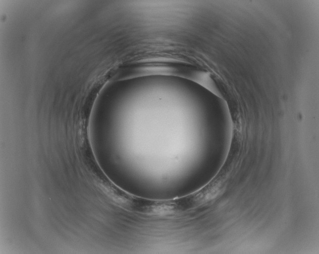 X0000072500462200607141134