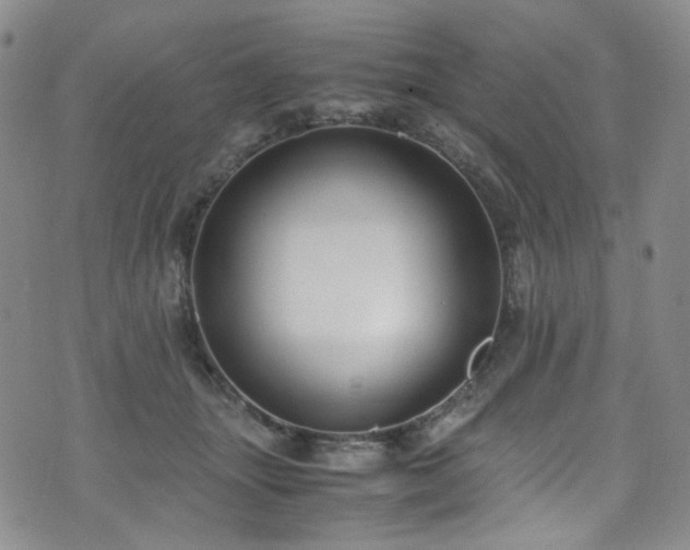 X0000072500463200607141134