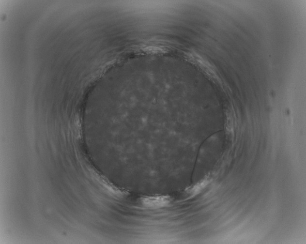 X0000072500465200607141134