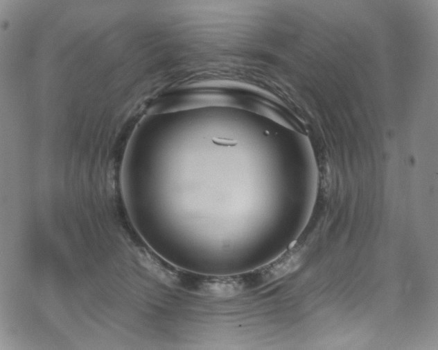 X0000072500466200607141134