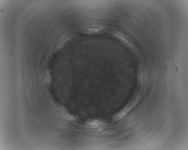 X0000072500467200607141134