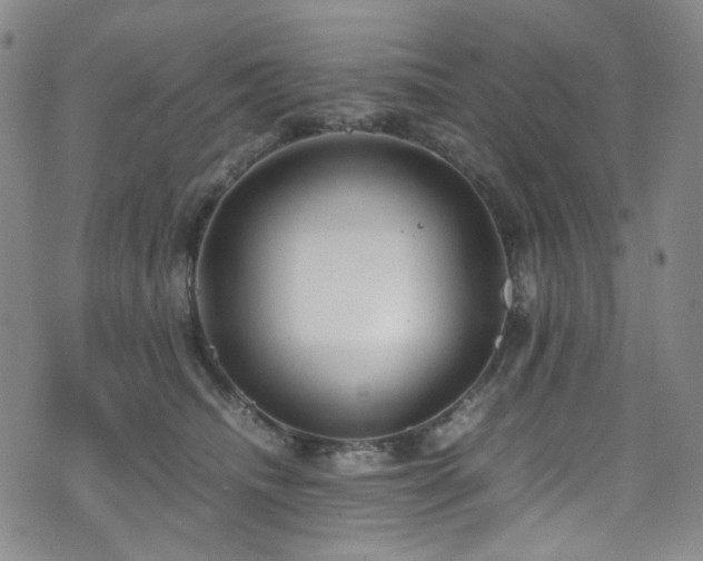 X0000072500468200607141134