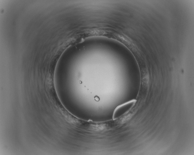 X0000072500469200607141134