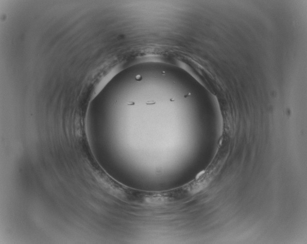 X0000072500470200607141134