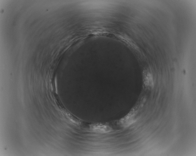 X0000072500471200607141134