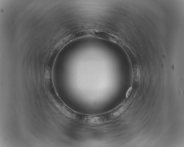 X0000072500472200607141134