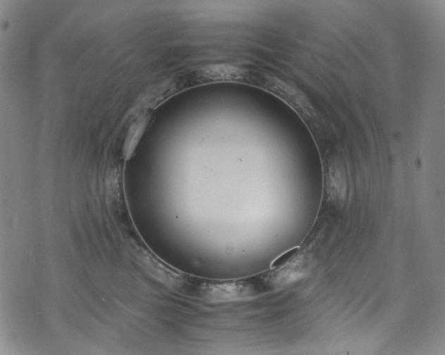 X0000072500473200607141134