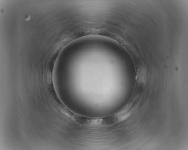 X0000072500474200607141134