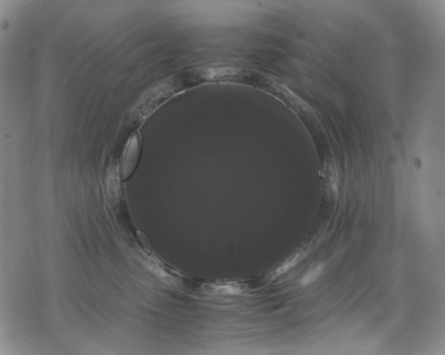 X0000072500475200607141134