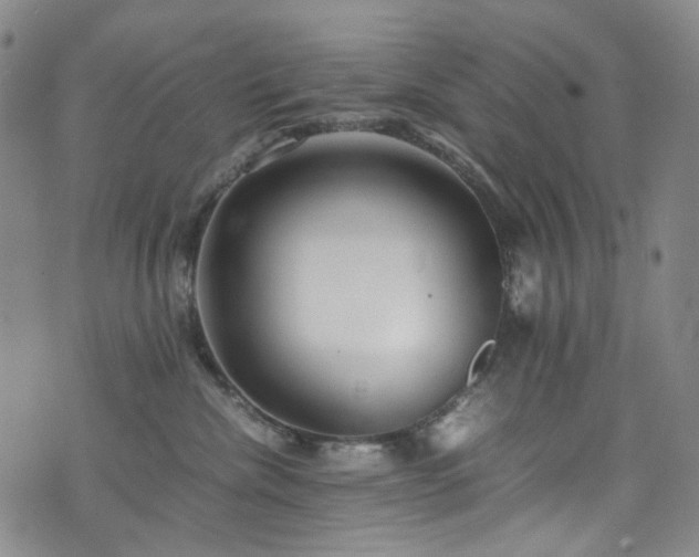 X0000072500476200607141134