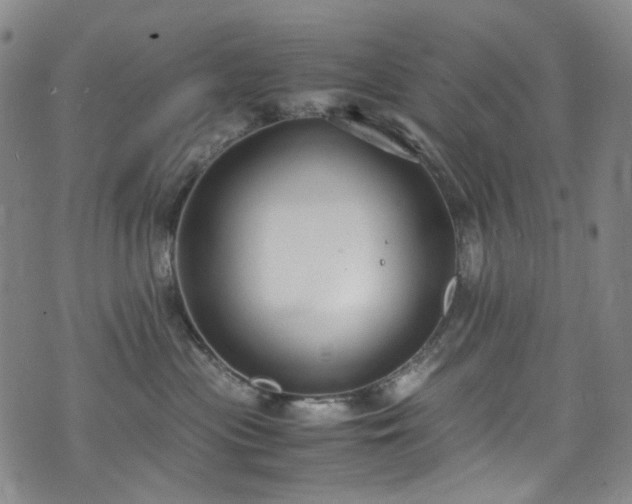 X0000072500477200607141134