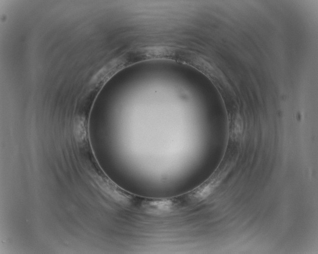 X0000072500478200607141134