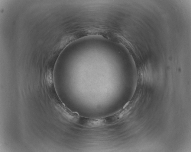 X0000072500479200607141134