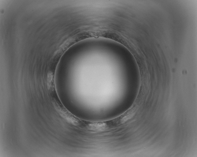 X0000072500480200607141134