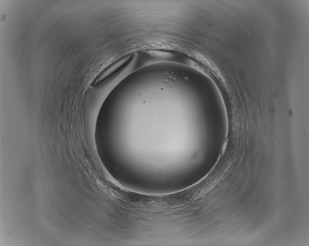 X0000072500481200607141133