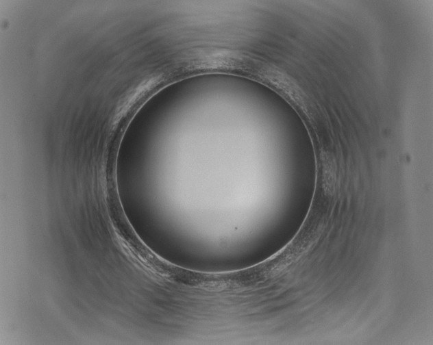 X0000072500482200607141133