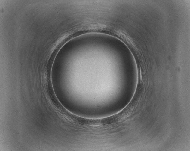 X0000072500483200607141133