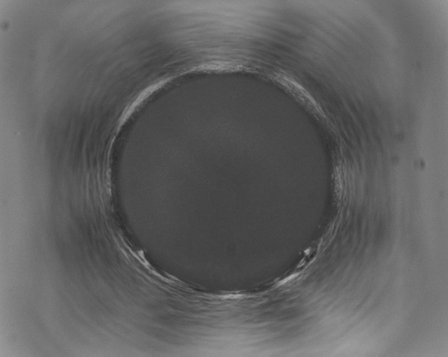 X0000072500484200607141133