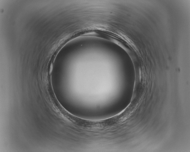 X0000072500485200607141133