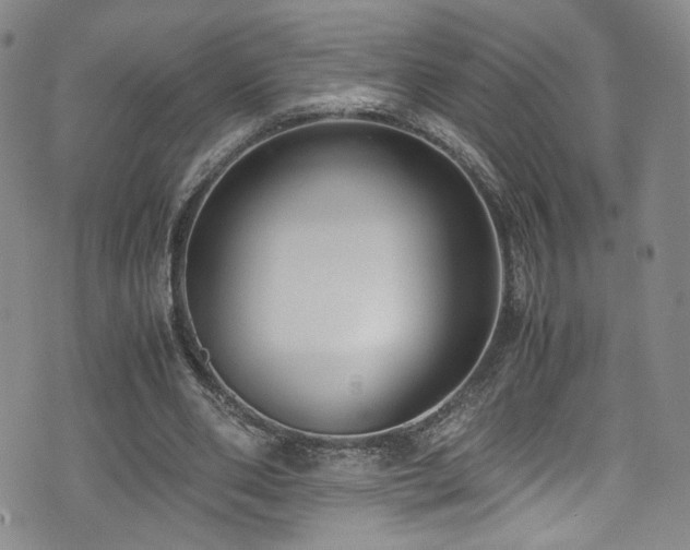 X0000072500486200607141133