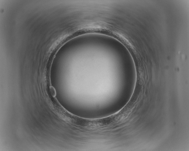 X0000072500487200607141133