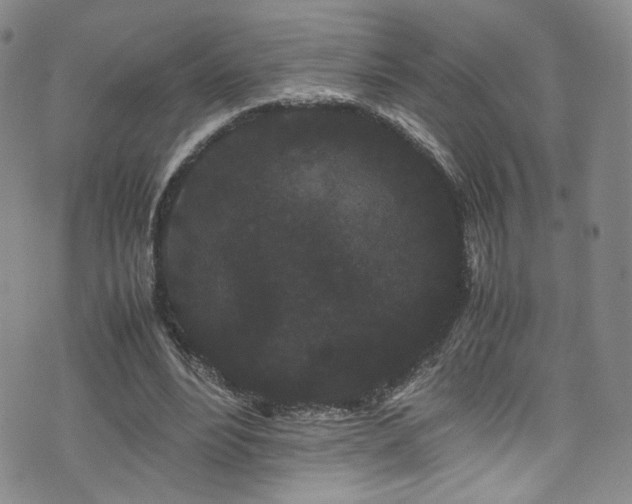 X0000072500488200607141133